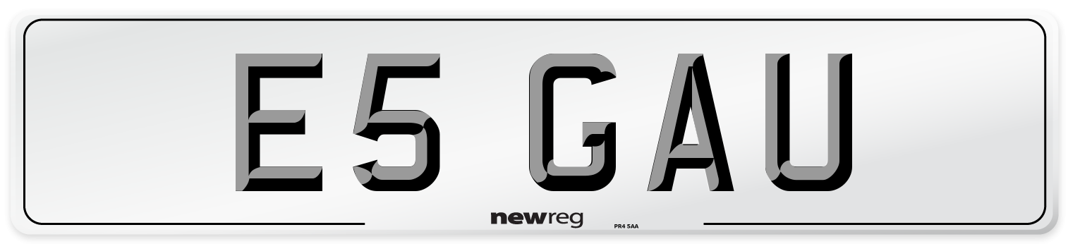 E5 GAU Number Plate from New Reg